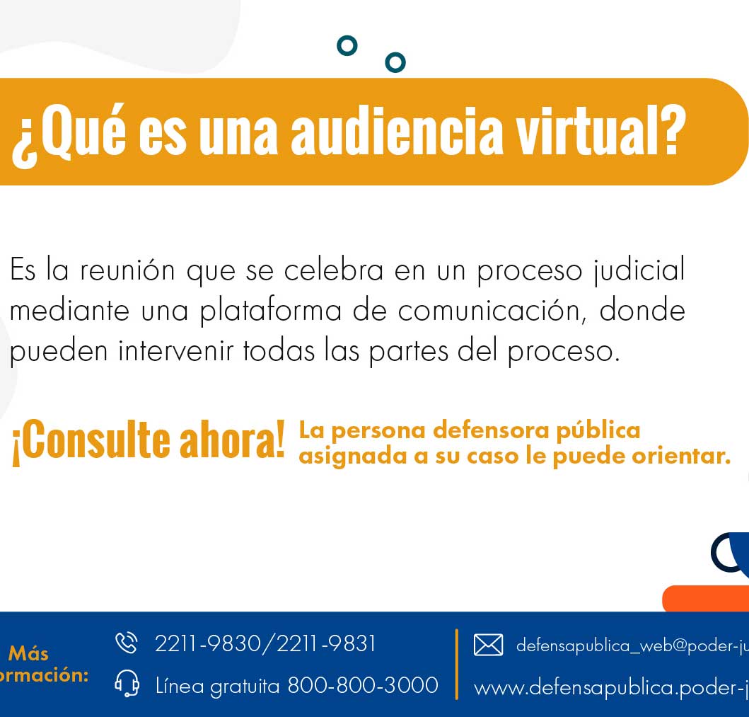 ¿Qué es una audiencia virtual?