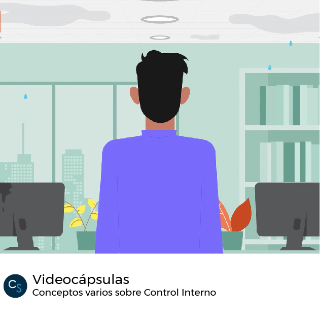 Videocápsulas | Conceptos varios sobre Control Interno